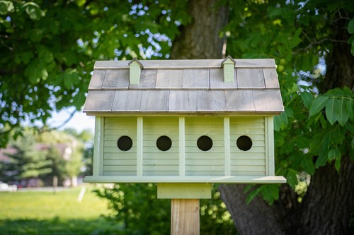 Martin mansion birdhouse - martin,