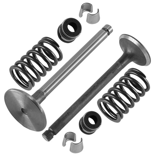 Exhaust intake valve - intake, kit