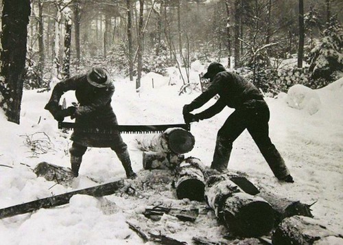 Vintage logging lumberjacks - vintage,