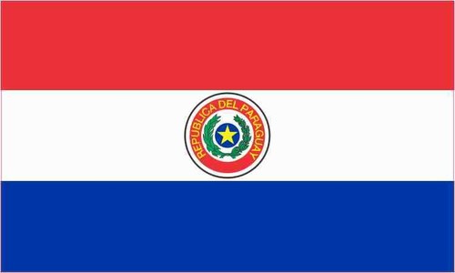 5x3 paraguay flag sticker - paraguay,