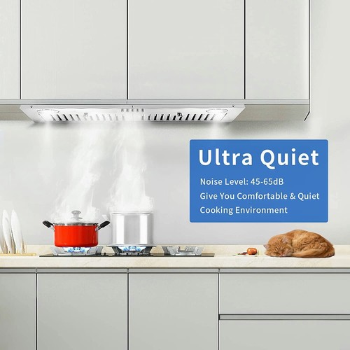 Built range hood 800cfm - 30",
