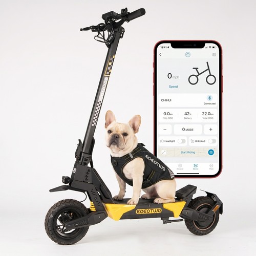 Electric scooter for - electric, adult