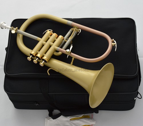 Professional new flugelhorn - new,