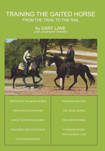 Training the gaited - gaited, horse