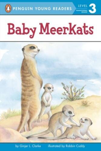 Baby meerkats penguin young - baby, (penguin