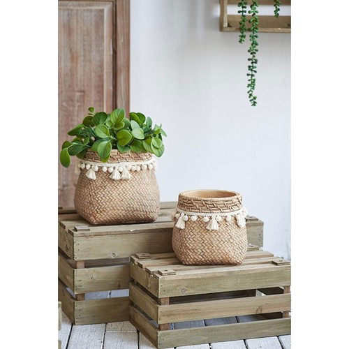 Set 5 x6 brown - of,