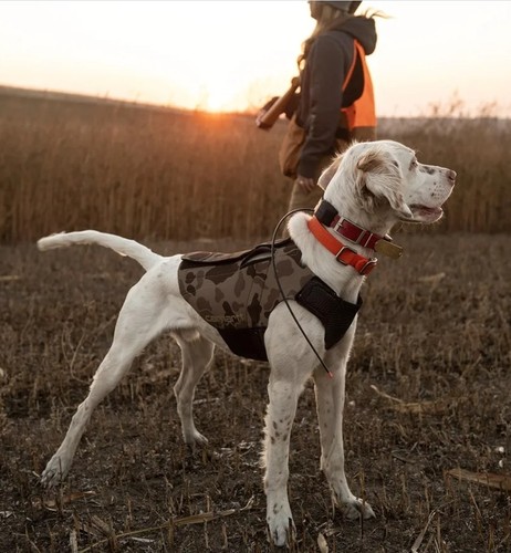 Carhartt neoprene dog hunting - neoprene,