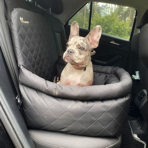 Dog car booster seat - dog,