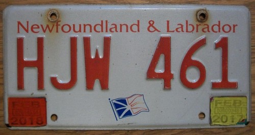 Single newfoundland - single, &