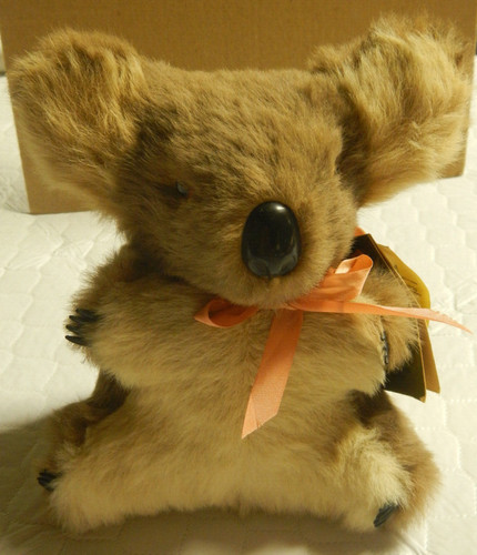 Musical koala bear - musical,
