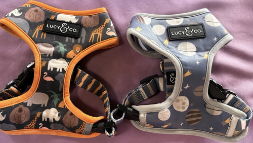 Lucy adjustable xs soft - lucy, &