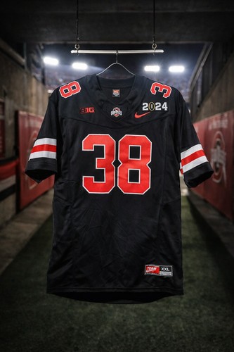 Ohio state buckeyes - state, nike