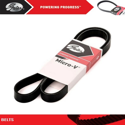 Gates serpentine belt - belt, for