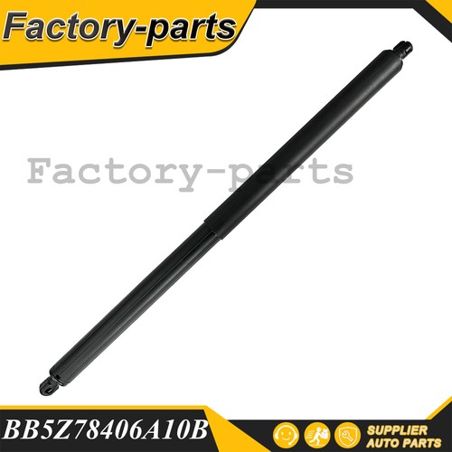 Right rear tailgate power lift - right,