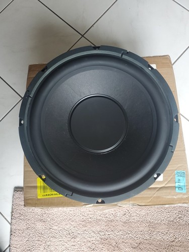 Klipsch ksw12 speaker - klipsch,