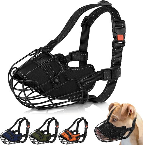 Pitbull dog muzzle - pitbull,