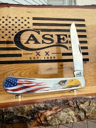 Case 2022 canvas - case, m154