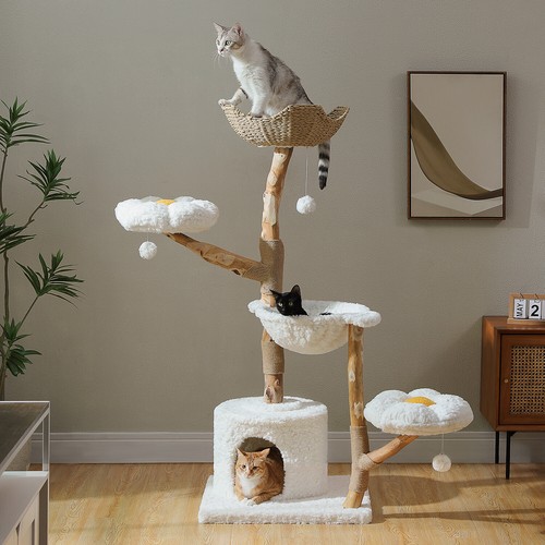 Pawz road cat - cat, for