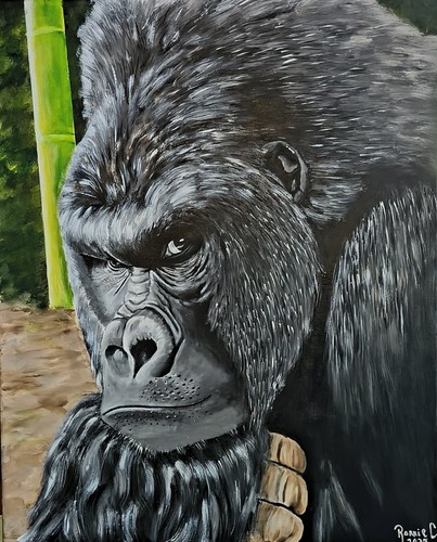 24x30 silverback gorilla - 24x30,