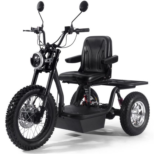 Electric trike battery - electric,
