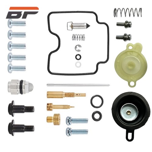 Carburetor repair kit - kit, +