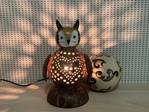 Owl coconut shell bedroom - coconut, lamp
