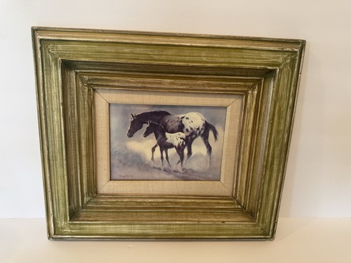 Emilie touraine appaloosa - emilie,