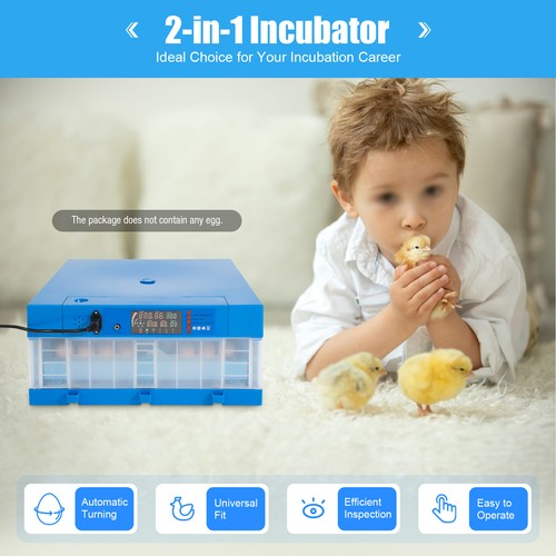 Digital eggs incubator hatch - digital,