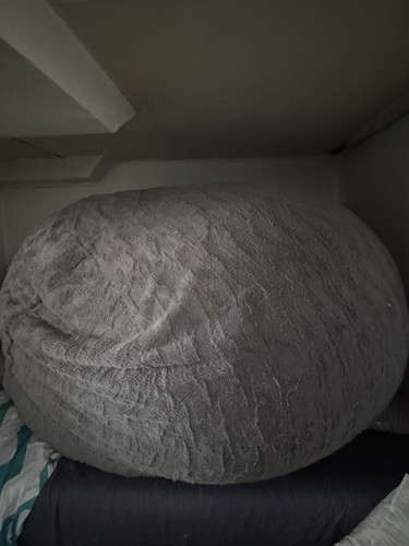 Lovesac bean bag the - big, one