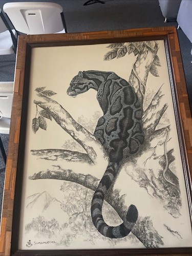 Vintage clouded leopard - vintage,