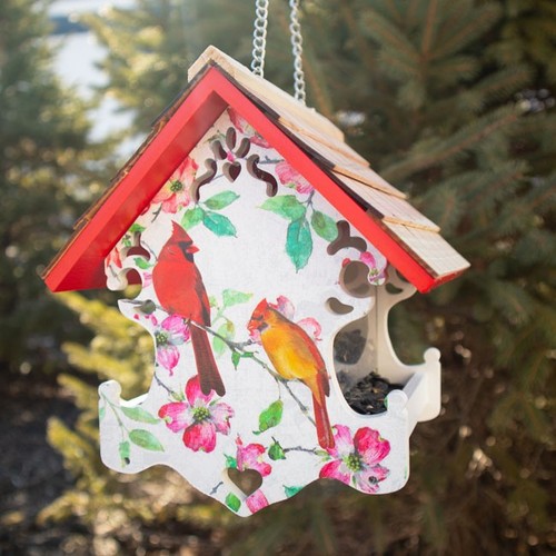 Home bazaar love - bazaar, bird