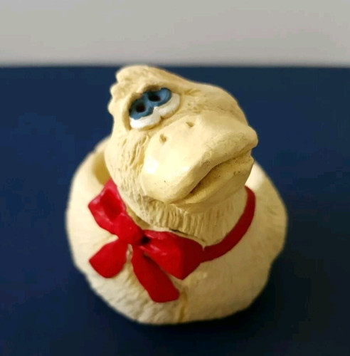 Vintage mini duck succulent - vintage,