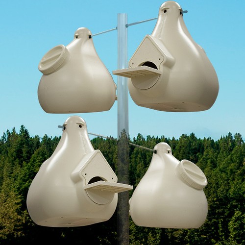 Wild bird lover deluxe - wild,