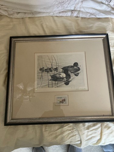 1960 framed federal duck stamp - 1960,