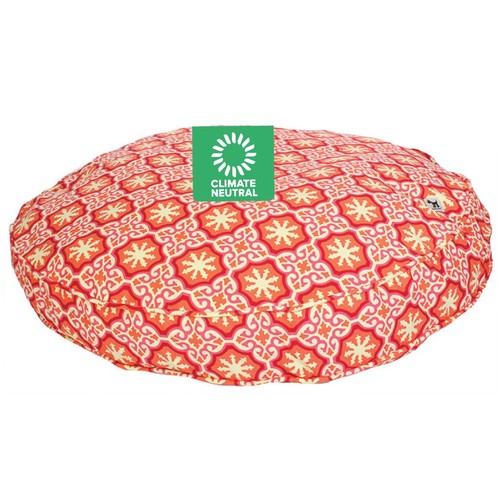 Molly mutt medium large dog - medium,