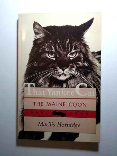 That yankee cat - that,