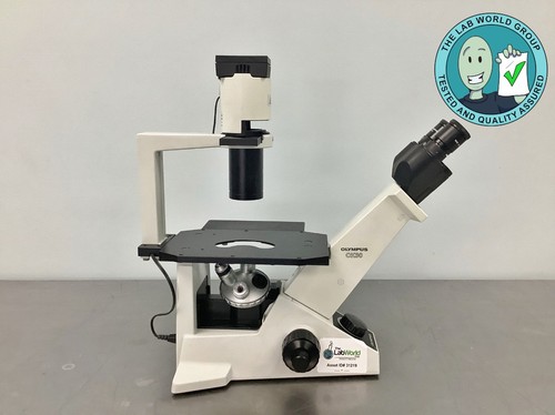 Olympus ck30 inverted - ck30,