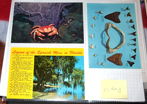 Vtg postcards crab - x, (crab