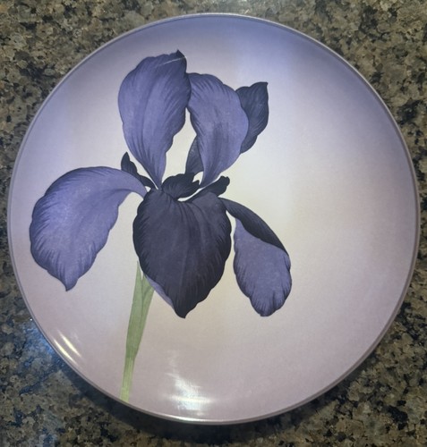 Noritake colorwave purple - noritake,