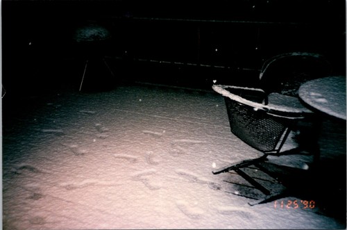 Deck covered snow with - in, foot