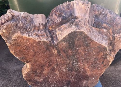 1286 philippine ebony - 1286,