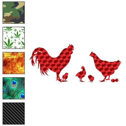 Chicken rooster chicks - chicken,