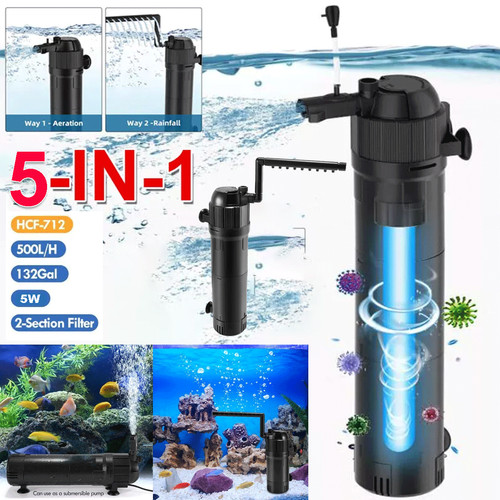 Internal aquarium fish - internal,