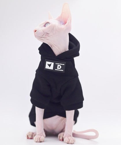Sphynx cat apparel - sphynx, kitty