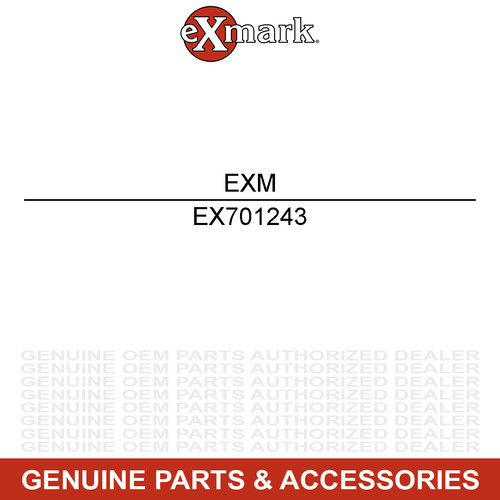 Exmark 701243 hex washer head - hex,