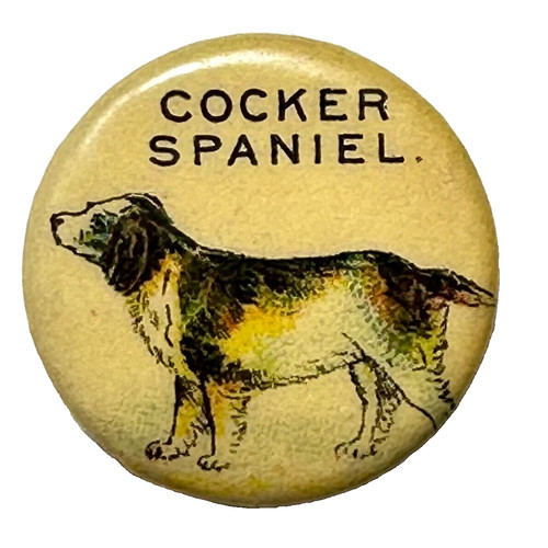 Cocker spaniel 1890s pepsin - cocker,