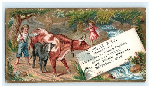 Pollak co picture - b., frames