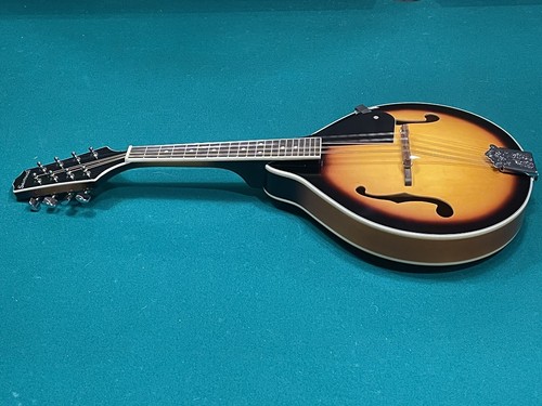Savannah 100 acoustic - savannah,