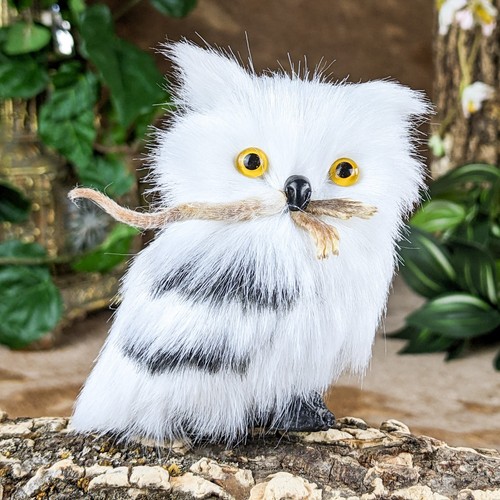 Owl real taxidermy mouse - real,