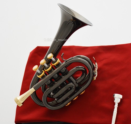 Upturned bell pocket trumpet - bell,